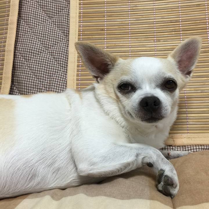 D52ee3e2 d226 4d62 ace7 845696f9f4c3