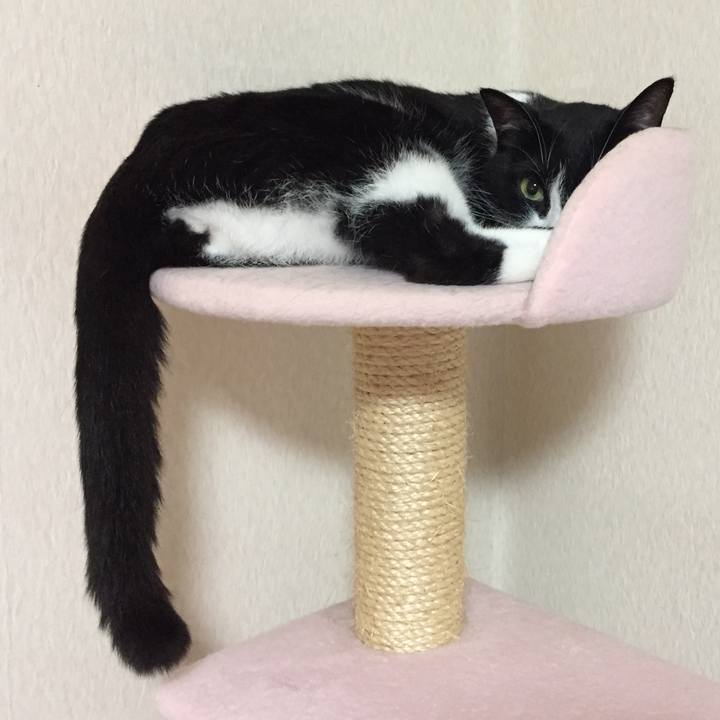 D52ef4af 8106 4e15 b33a dfcc54a9d807