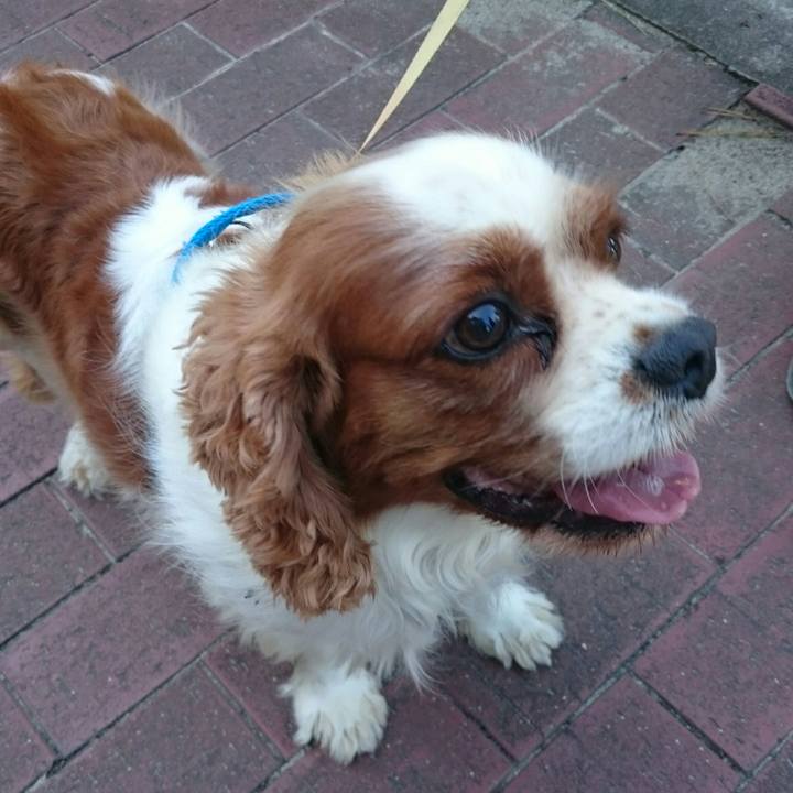 D52f14a8 6906 427a bd1a 31a2296bb14b