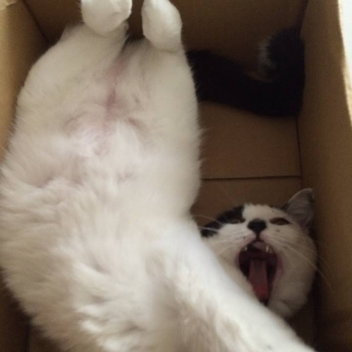 D52f5229 64d5 4130 b32b 73d31a58f9ee