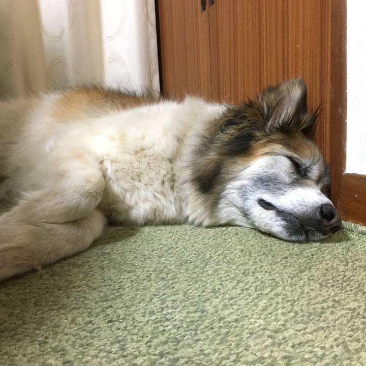 D52f8514 6d49 4f4e 872f c4fa64e747bf