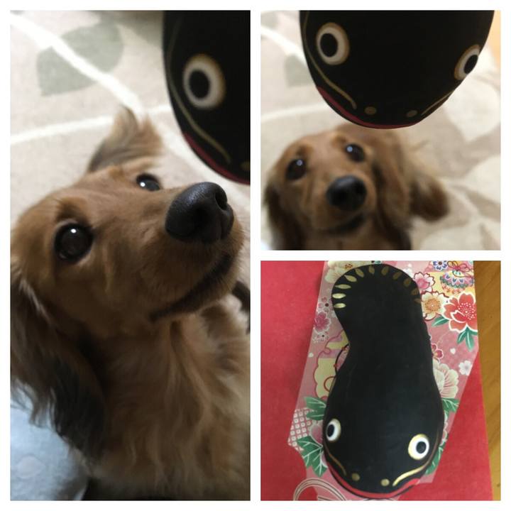 D52f9e31 102c 4d09 9719 aa4f2206797e