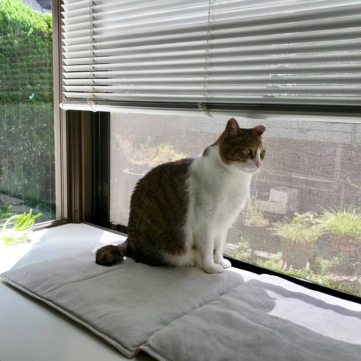 D5303e97 33c7 4b42 9125 58023a00beb5