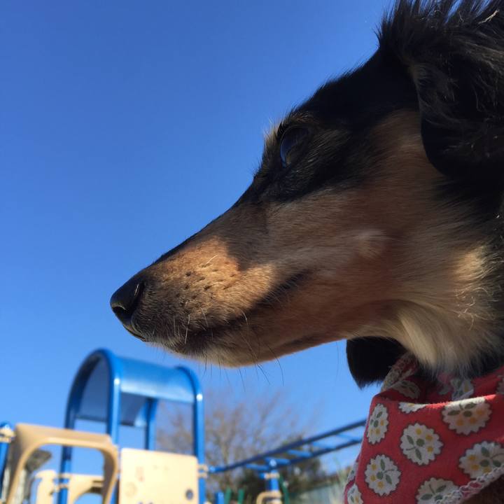 D5313a32 3e51 4108 ad36 cb7ca6850442