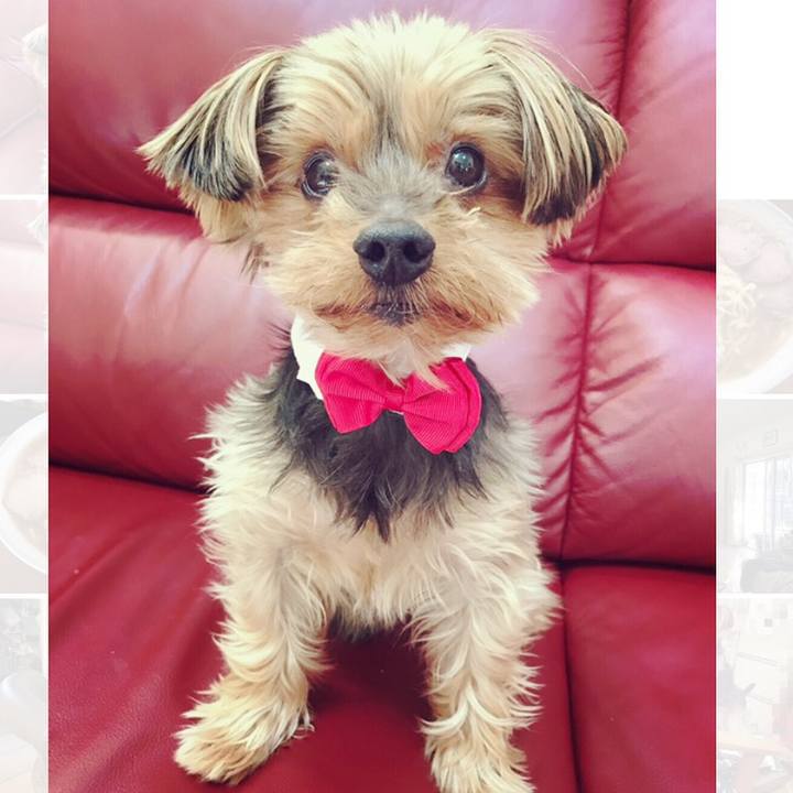 D531703a a73f 4aec a778 ea9815c3b7b1