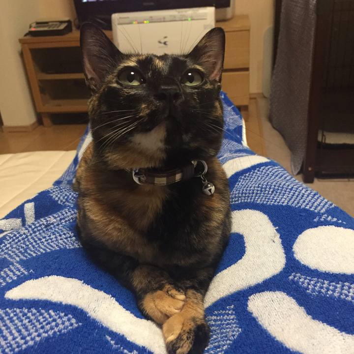 D5319401 734d 4917 90ad baff2ad1e438