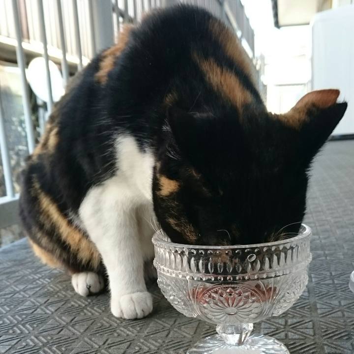 D531a55c dadc 48e0 b38b ae68e02cb7d2