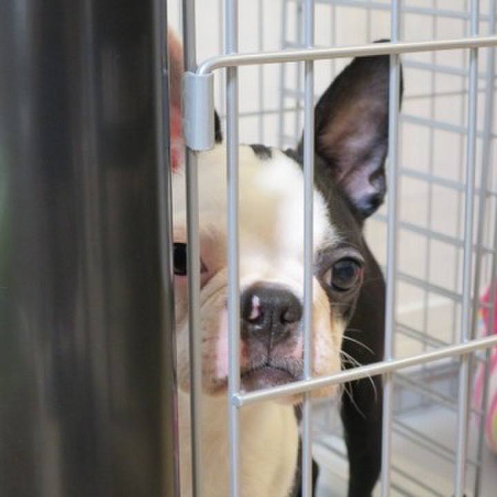 D531df2e 2cd4 47b2 974a ce3e24a35792