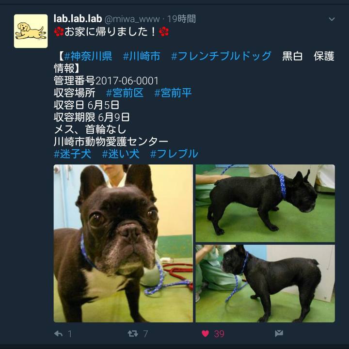 D531ea64 f6dd 478f b42f 8c8d730d8dc2