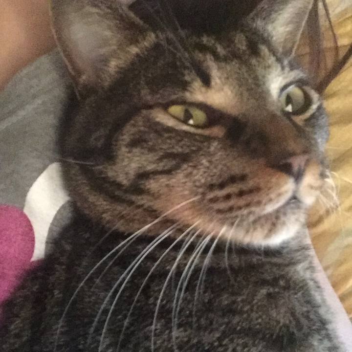 D532a590 20ba 4b78 98c8 77a35db5eed8