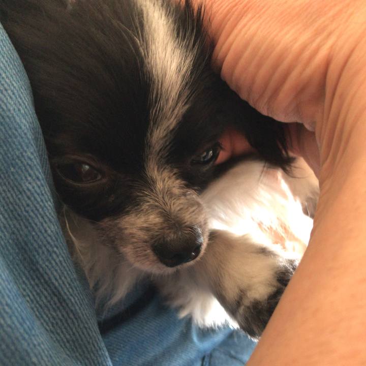 D532a661 bd35 4bd7 94b8 7b70d96ee782