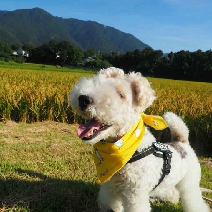 D532f893 e65c 4aca 8621 f0e9569a421b