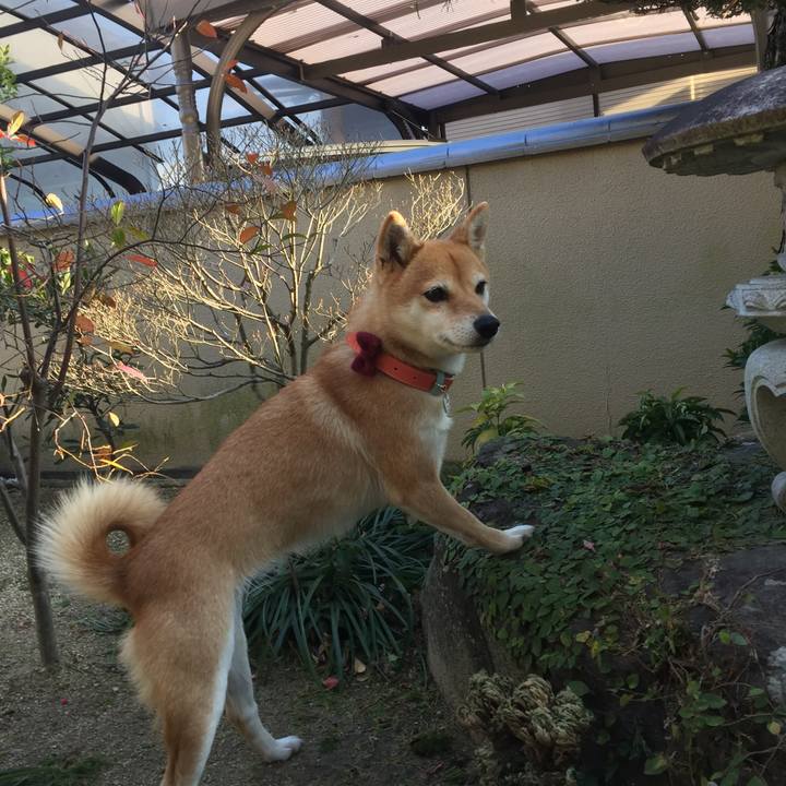 D5335693 7427 47a6 a60f 6948d17e8130