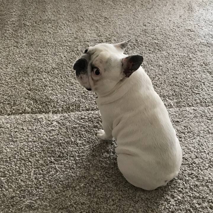 D533af15 491a 4ac2 9ea2 545b72a1bf9a