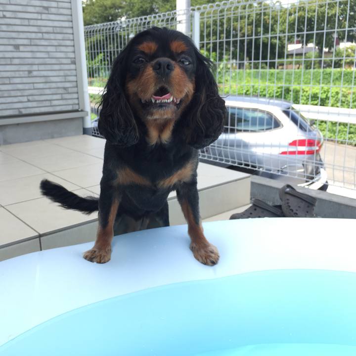 D5341fdb 422e 4462 88dc 85d9b3418fb6