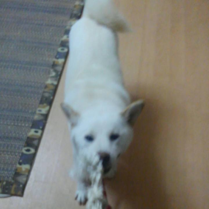 D5344f85 8cad 461b 909a 2df075fbae00