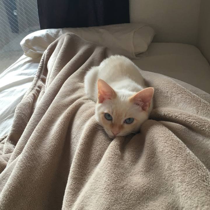 D534b991 a471 49e9 8878 e07602394e76