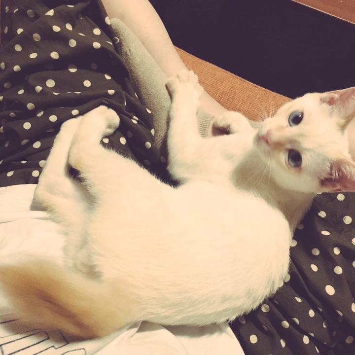 D534c455 2918 492c 875f 6ecd64a41f10