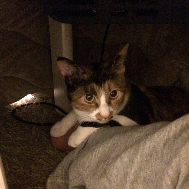 D535f56c cdd8 400d 9ab0 ed3f969d8ab3