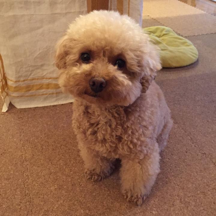 D5360b41 99b0 4e50 977b 3d3a0b9f8986