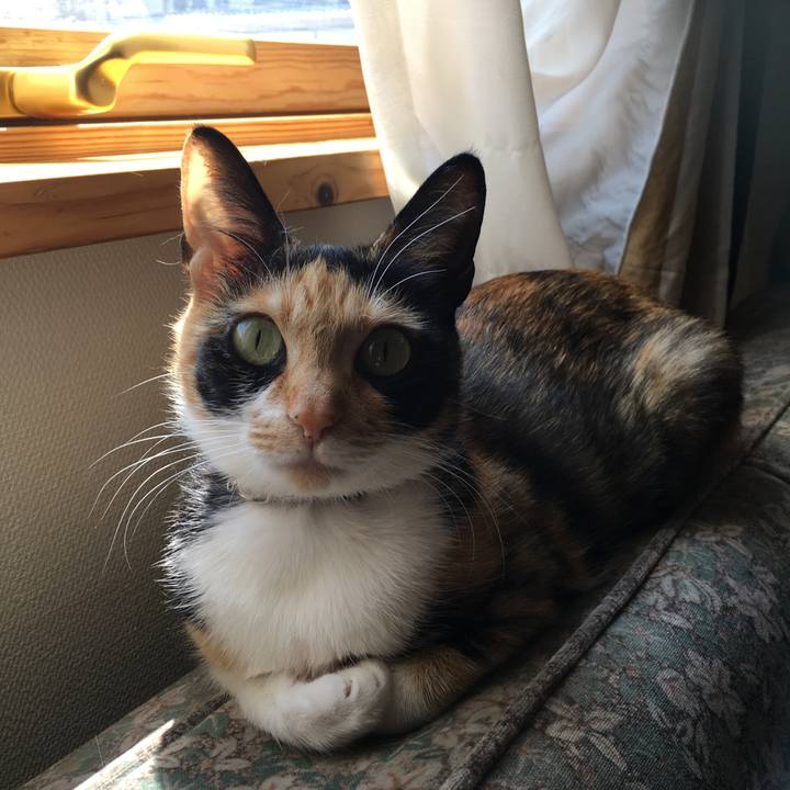 D537443b 5e6f 4c3a 8956 dbb3165c2916