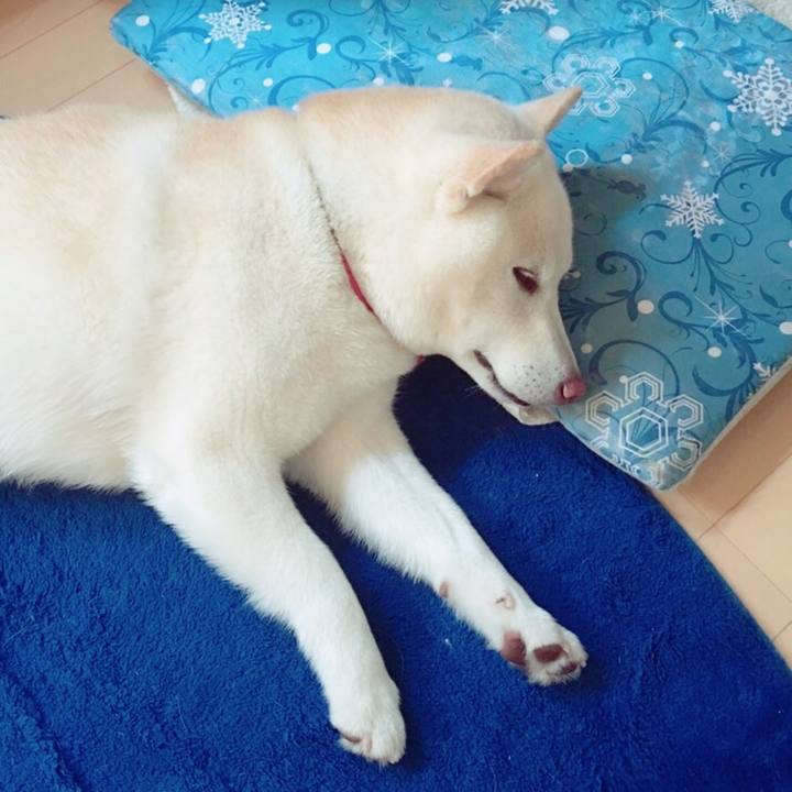 D5374578 810d 41eb 84b0 54e28c8f9539