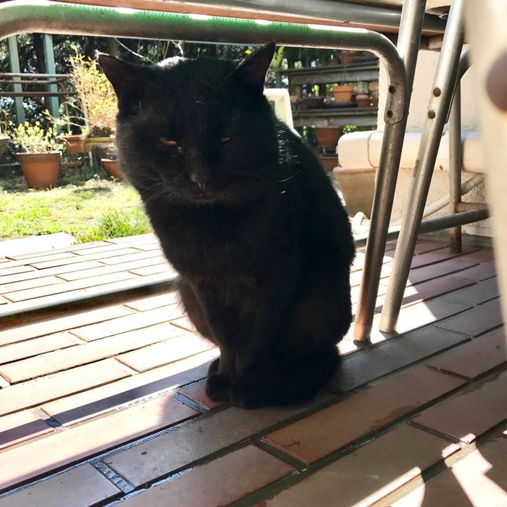 D53754c3 ba44 413e 98f6 a4e6746f93a3