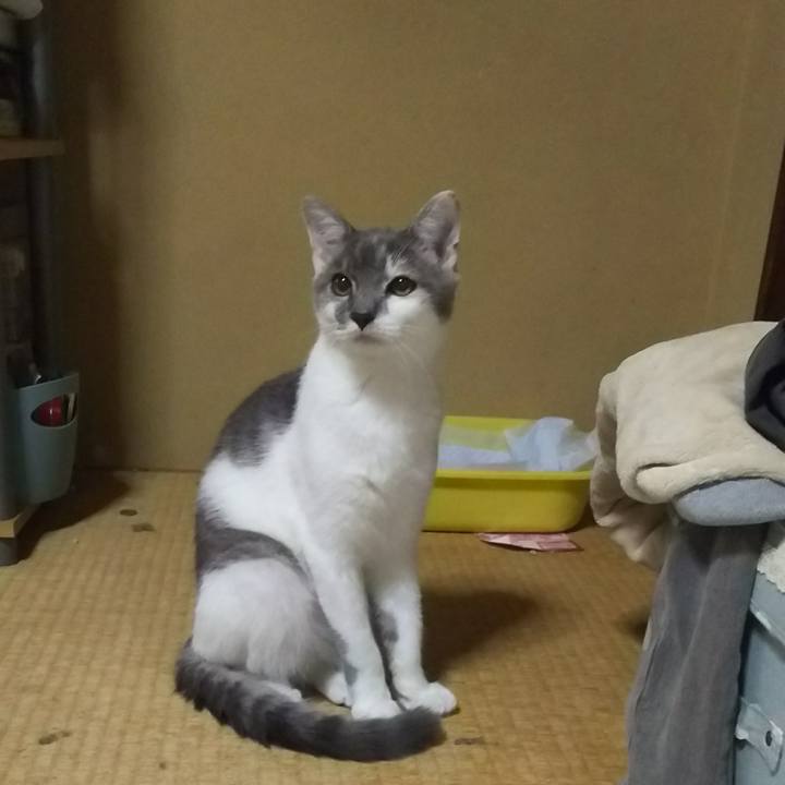 D537dd0a 9c51 49c1 ac46 fc7b669cfee9