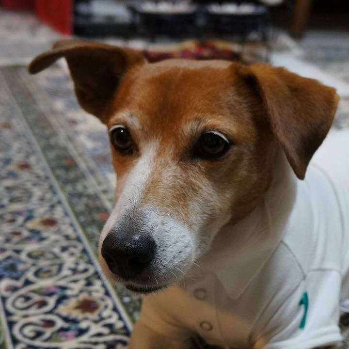 D538501f beab 4a7f 89c7 05c3707e0d55