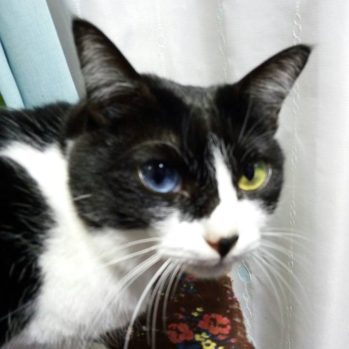 D538cc71 ba83 4381 8700 fbd88d988346