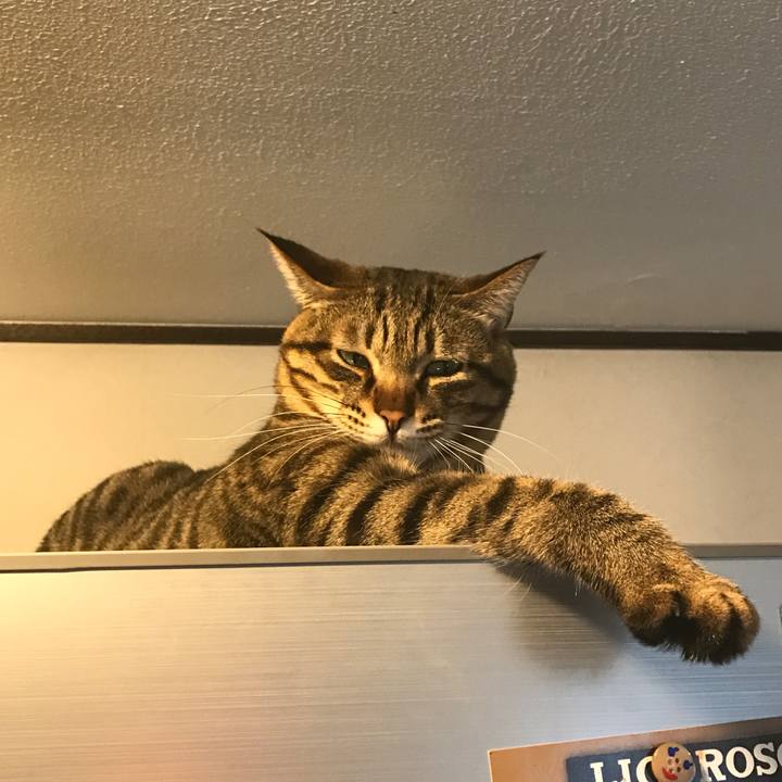 D539069e dacd 48b3 9147 02d7639873bb