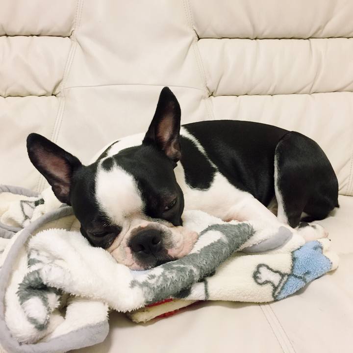 D53914d3 6d59 4d54 ab28 05d98f0d6924