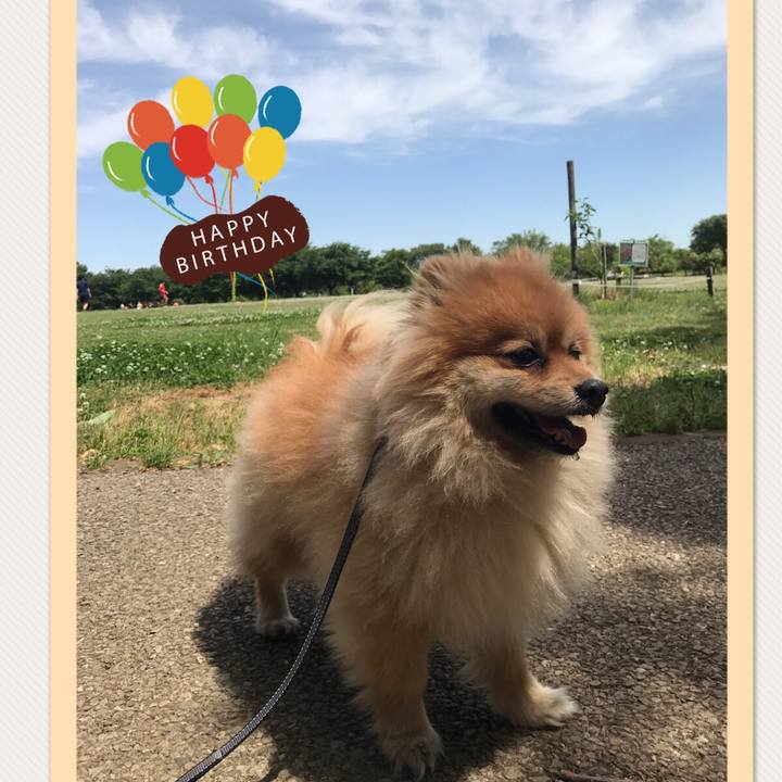 D5396cd8 2fb1 4f9e b894 c949744c2187