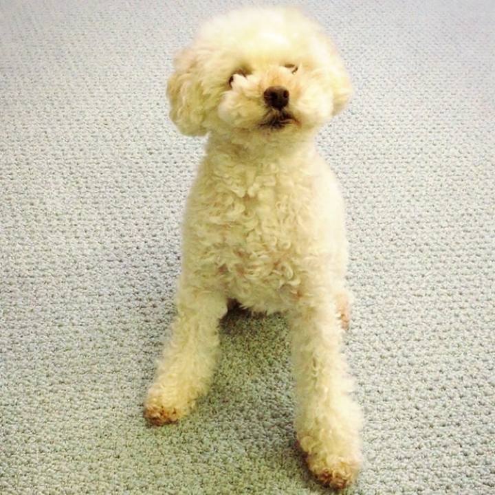 D539733f d5e2 483c a606 d30fb03628a3