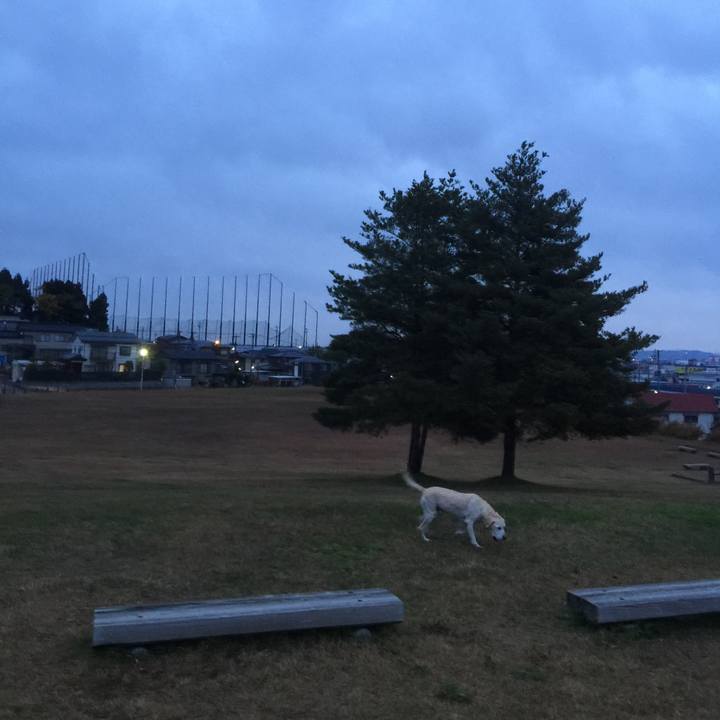 D53a889f 3c74 458a af7a 1ce1674157cd