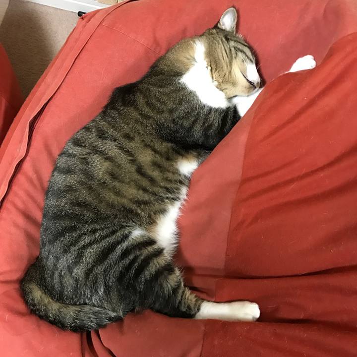 D53aa119 7512 4fc4 a8ba 20f596db98b7