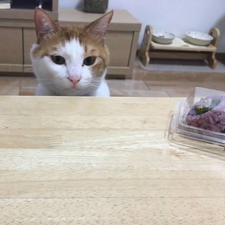 D53aaa1f 0b14 4d86 97f3 a97937bccd6a