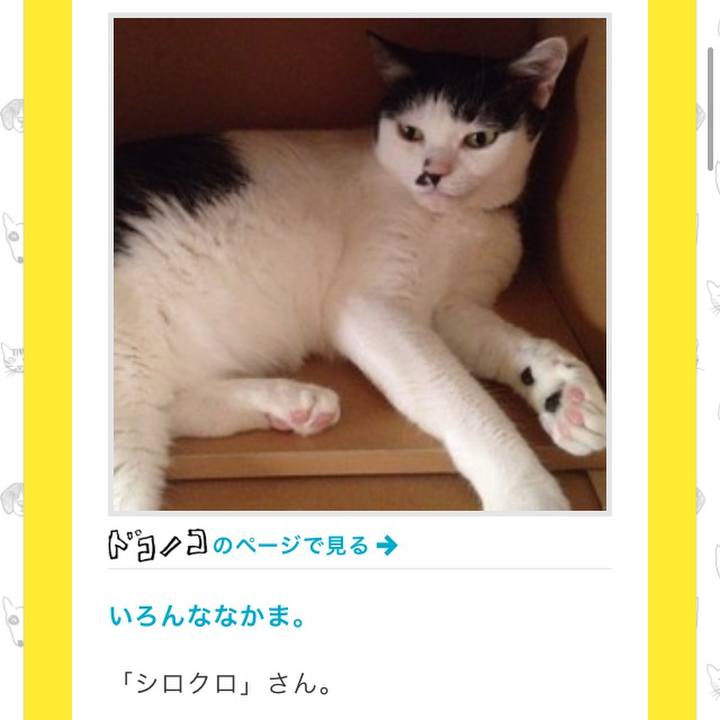 D53ae020 a20e 4161 8492 30393b790de3