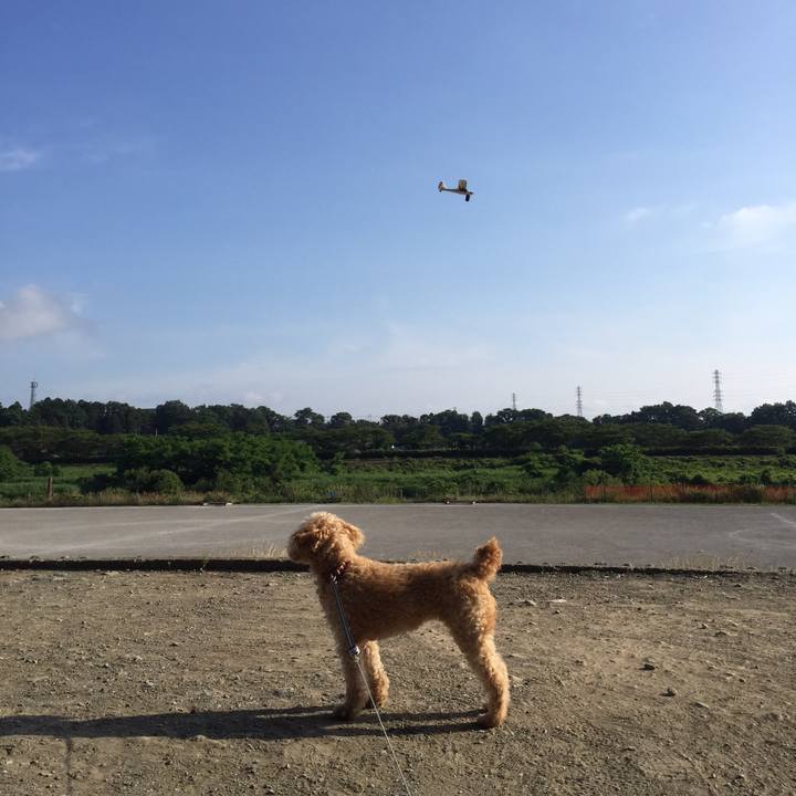 D53af6ce 8650 4fa8 9d9a 5ff3fa3c81c3