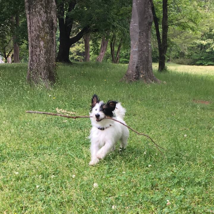 D53b1a71 46b1 43fc a9b1 aa1c2927a2a7