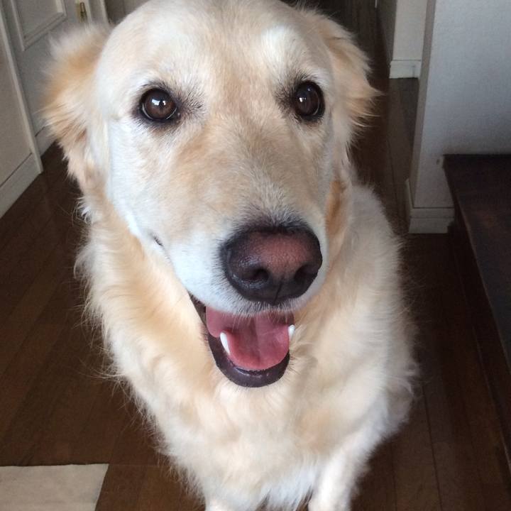 D53b23f5 b1fa 4dbc 9a3a a15b5219ad5e