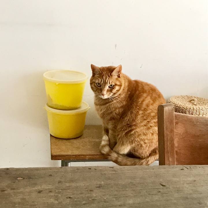 D53bb55d 8faf 4418 8eef 689abec51825