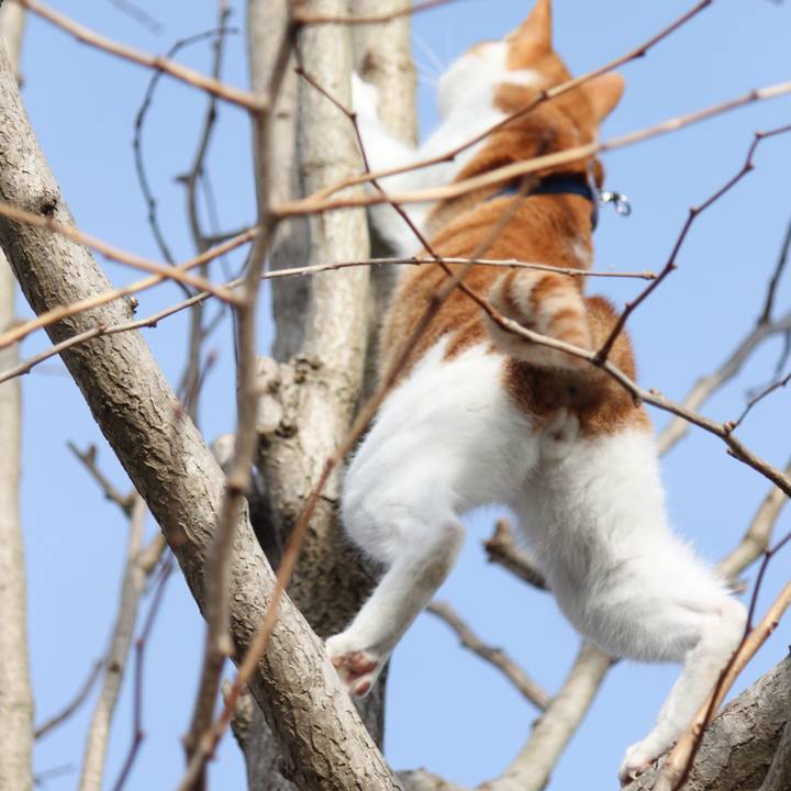 D53d6323 9a61 4981 acb7 a733a2839261