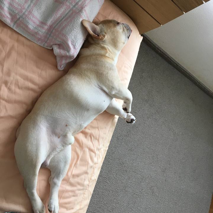 D53d6b2f 54ca 485f 942a 903fdd7418f1