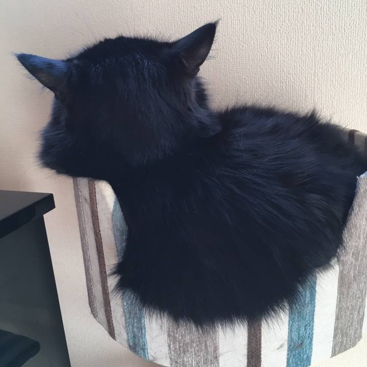 D53d6d85 fcf1 48e9 b3f2 8b69549f0fef