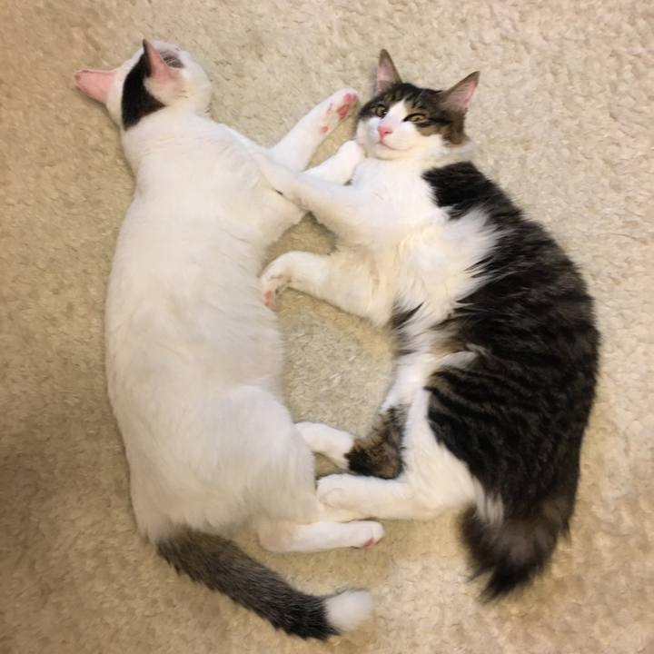 D53d89b4 9951 4a2c a494 186a366be19c