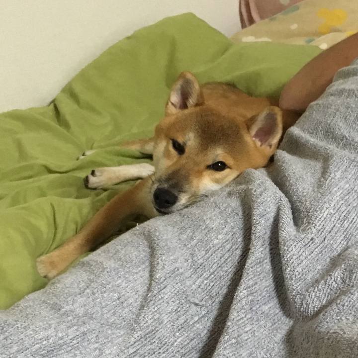 D53e19ec 1c3a 40c0 be37 16ef2083e52b