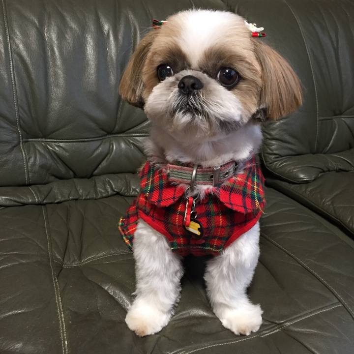 D53f0e0e 4a41 468f b5b8 197d0bbc06b0