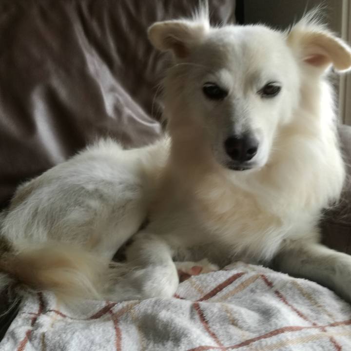 D53ff5a6 2b16 4f49 b85e 8456c9e5f685