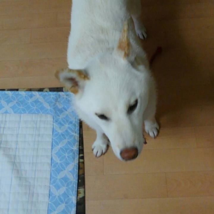 D540190c 6456 43d6 8db1 f09a0a2a3ade